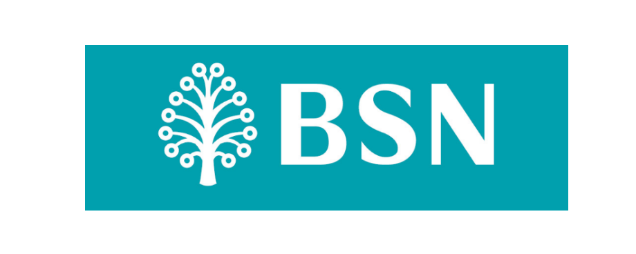 Bank Simpanan Nasional